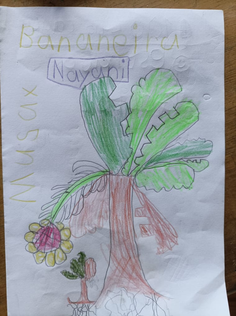 Zeichnung einer Bananenstaude mit braunem Stamm, grünen Blttern, einer rotgelben Blüte, darunter ein kleiner Baumsetzling, dem die Banane Schatten gibt