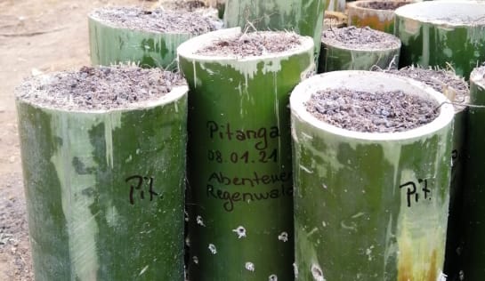 Pitanga-Samen im Bambustöchen mit Abenteuer Regenwald-Aufschrift